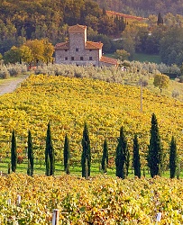 Siena - Colline toscane