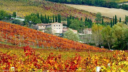 Castellina in Chianti