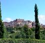 Siena Online foto 