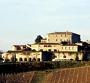 Siena Online foto 